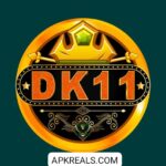 DK11 Game Logo