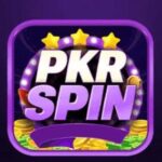 PKRSPIN Game Logo