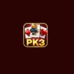 PK3 Game Logo