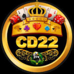 CD22 Game Logo